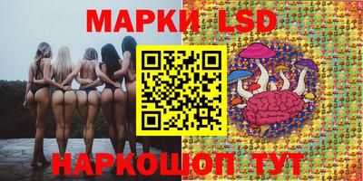 спайс Ачхой-Мартан