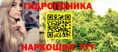 спайс Ачхой-Мартан