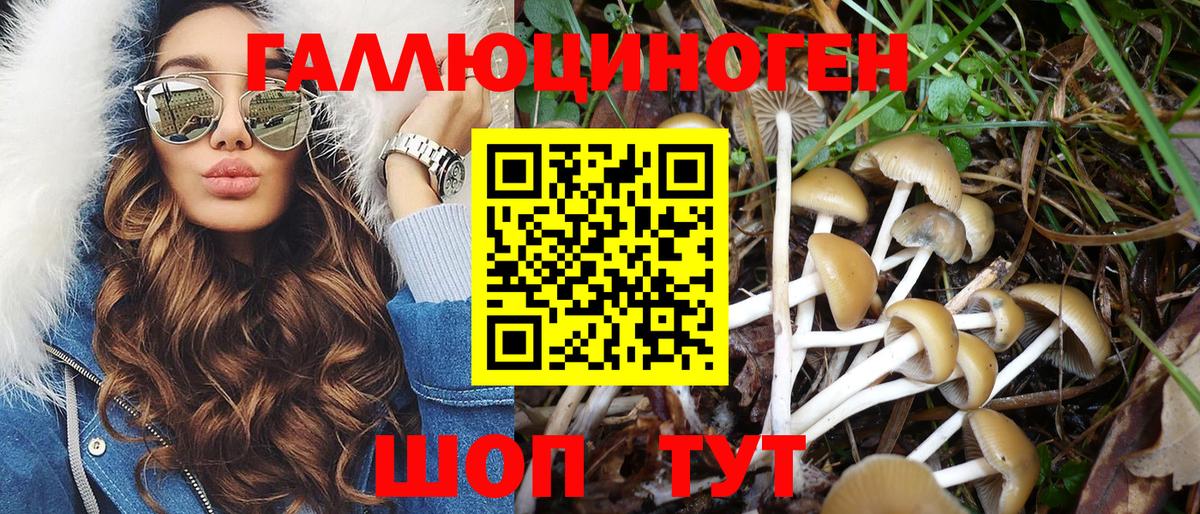 Псилоцибиновые грибы ЛСД Благодарный