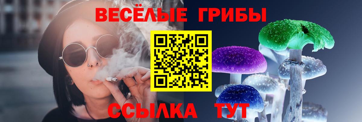 Псилоцибиновые грибы Psilocybe  Вход с VPN  Псилоцибиновые грибы Magic Shrooms  Благодарный 